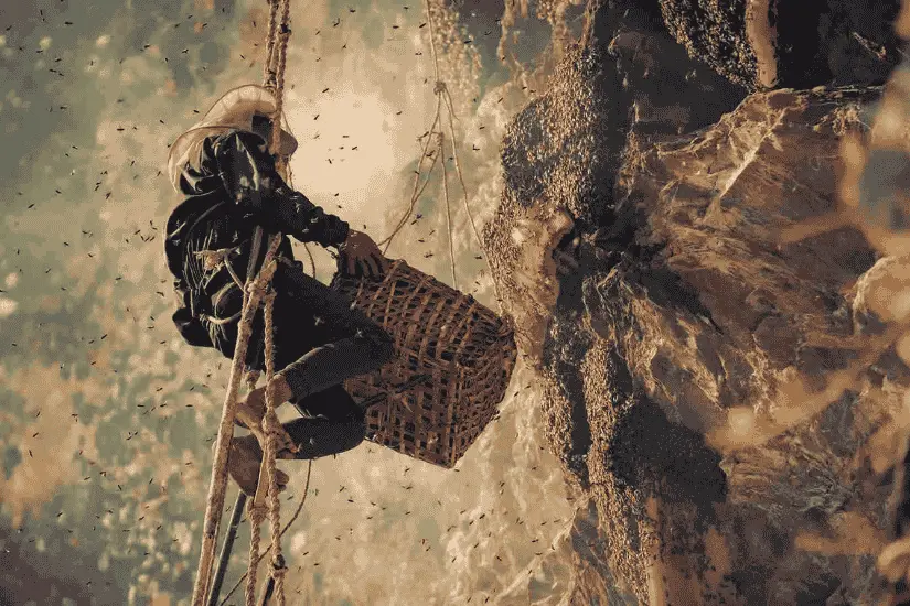 Honey Hunting Lamjung 2026: How Far Should Adventure Tourism Go?