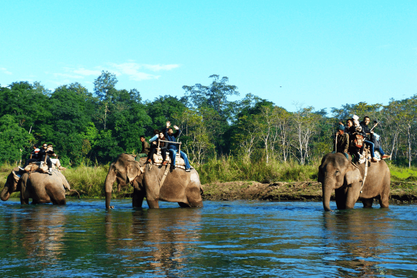 Jungle Safari in Chitwan 2026/27 – Ultimate Wildlife Adventure