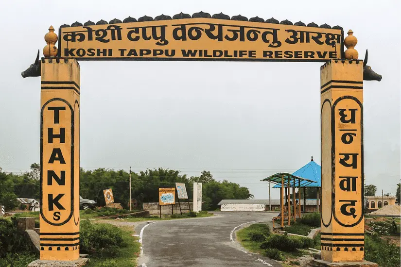 Koshi Tappu Wildlife Reserve Tour Package – Best Safari Experience in Eastern Nepal