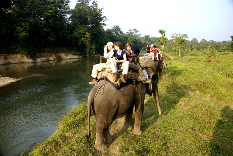 Jungle Safari in Nepal