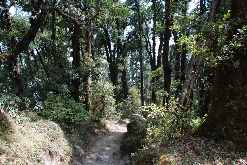 Annapurna Sanctuary Trekking