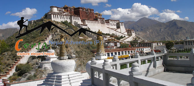 Himalayan Beauty